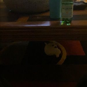 Meet your Posher, Chakela